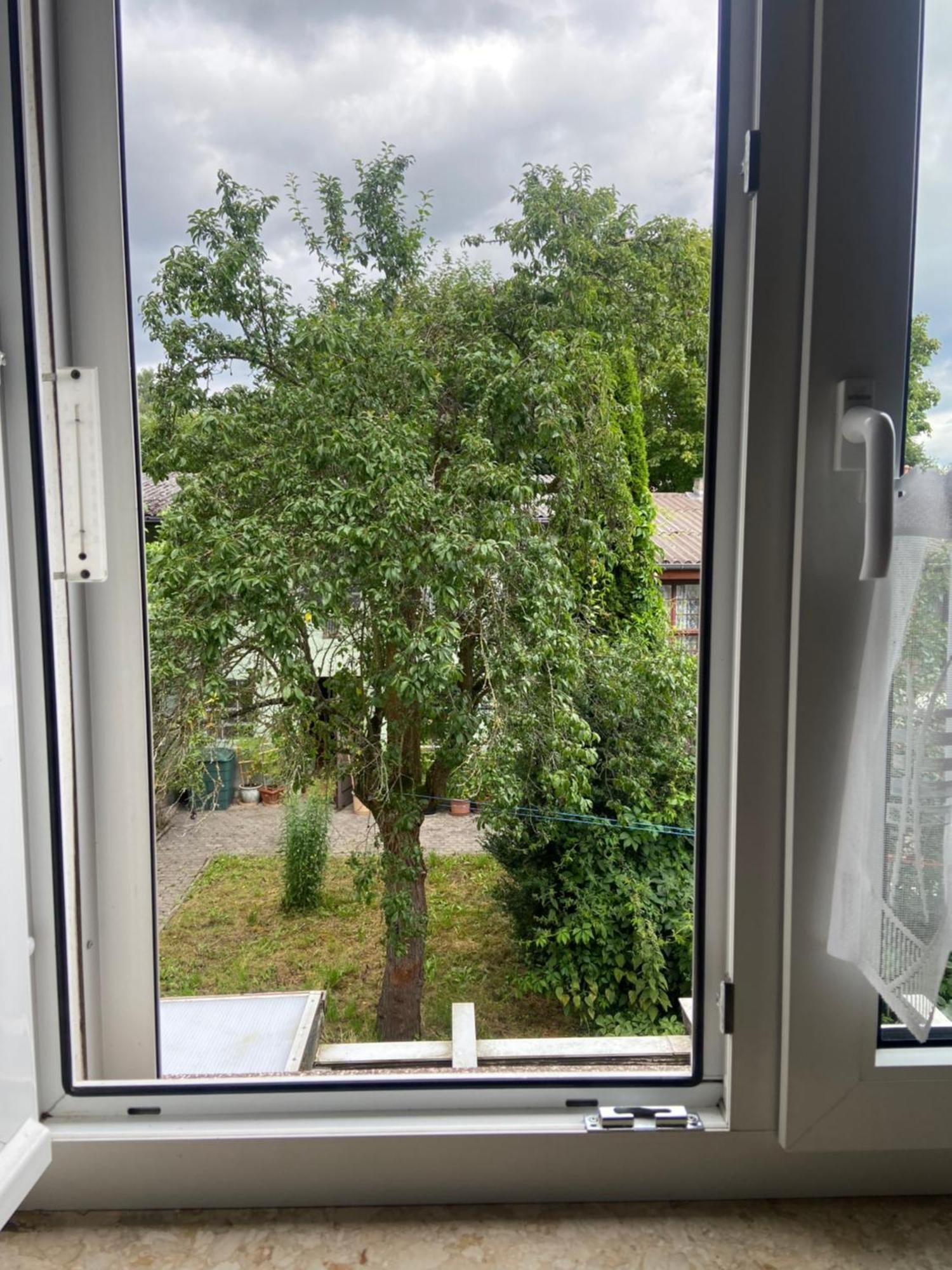 Apartment Stadtzentrumnahe An Der Gruenen Aue, Kostenfreier Parkplatz Fulda